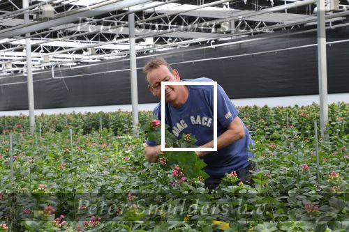 Rijsenhout, 16 Mei 2018
Boer Jaap Vreeken Boer zoekt vrouw
