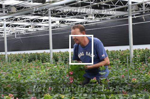 Rijsenhout, 16 Mei 2018
Boer Jaap Vreeken Boer zoekt vrouw