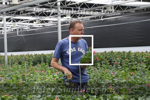 Rijsenhout, 16 Mei 2018
Boer Jaap Vreeken Boer zoekt vrouw
