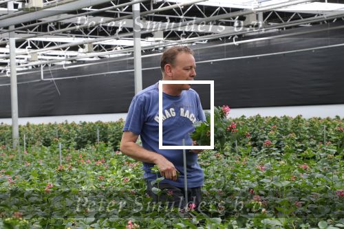 Rijsenhout, 16 Mei 2018
Boer Jaap Vreeken Boer zoekt vrouw