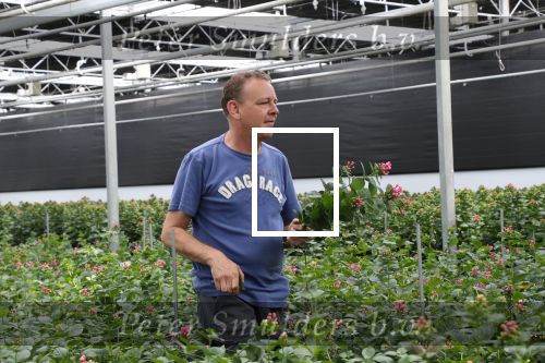 Rijsenhout, 16 Mei 2018
Boer Jaap Vreeken Boer zoekt vrouw