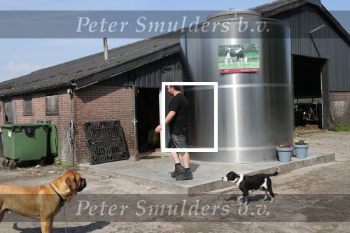 Fochtenloo, 16 Mei 2018
Boer Remco Aalbers Fochtenloo Boer zoekt vrouw
