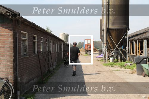 Fochtenloo, 16 Mei 2018
Boer Remco Aalbers Fochtenloo Boer zoekt vrouw