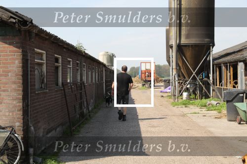 Fochtenloo, 16 Mei 2018
Boer Remco Aalbers Fochtenloo Boer zoekt vrouw