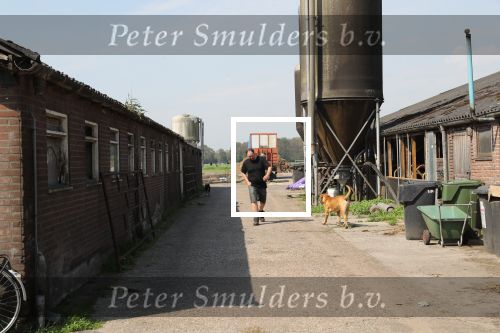 Fochtenloo, 16 Mei 2018
Boer Remco Aalbers Fochtenloo Boer zoekt vrouw