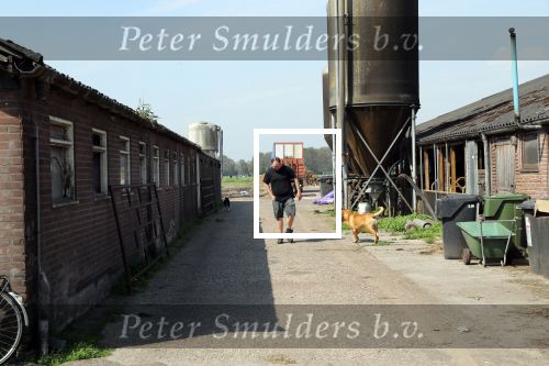 Fochtenloo, 16 Mei 2018
Boer Remco Aalbers Fochtenloo Boer zoekt vrouw