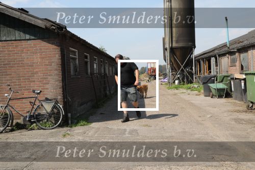 Fochtenloo, 16 Mei 2018
Boer Remco Aalbers Fochtenloo Boer zoekt vrouw