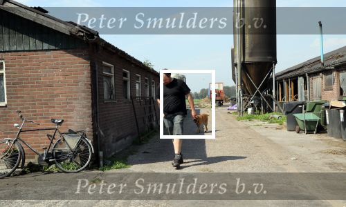 Fochtenloo, 16 Mei 2018
Boer Remco Aalbers Fochtenloo Boer zoekt vrouw