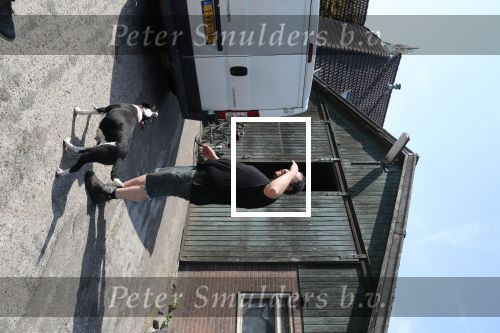 Fochtenloo, 16 Mei 2018
Boer Remco Aalbers Fochtenloo Boer zoekt vrouw