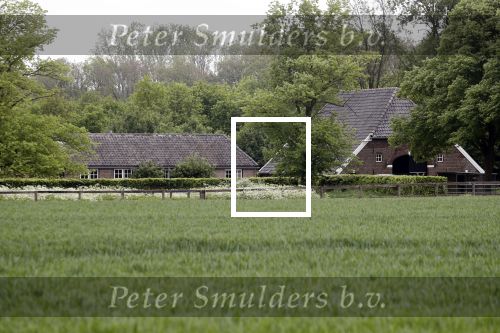 Hummelo 10 mei 2018
Huis Brigitte Klynstra en haar zoon Hugo ( bastaard zoon van prins Carlos.)