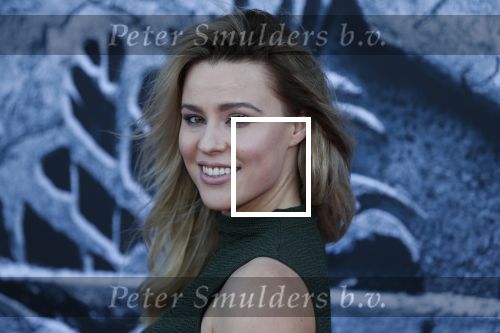 Amsterdam 5 juni 2018
Premiere Jurassic world in het amsterdam theater. Celine Huijsmans