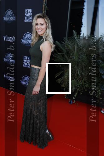 Amsterdam 5 juni 2018
Premiere Jurassic world in het amsterdam theater. Celine Huijsmans