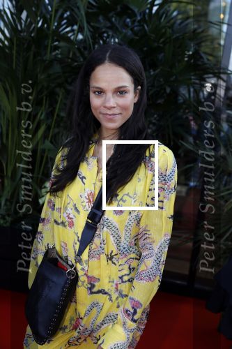 Amsterdam 5 juni 2018
Premiere Jurassic world in het amsterdam theater. Cloe Leenheer