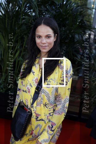 Amsterdam 5 juni 2018
Premiere Jurassic world in het amsterdam theater. Cloe Leenheer