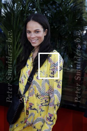 Amsterdam 5 juni 2018
Premiere Jurassic world in het amsterdam theater. Cloe Leenheer