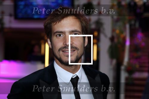 Amsterdam 1 juni 2018
Premiere Nationaal ballet in stopera. Egbert-Jan Weeber met een vriendin