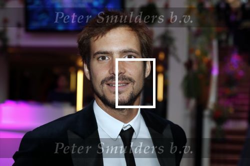 Amsterdam 1 juni 2018
Premiere Nationaal ballet in stopera. Egbert-Jan Weeber met een vriendin
