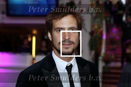 Amsterdam 1 juni 2018
Premiere Nationaal ballet in stopera. Egbert-Jan Weeber met een vriendin