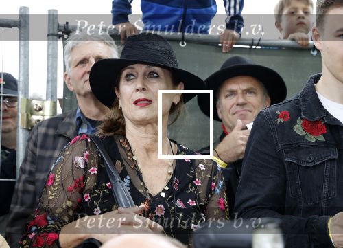 Hummelo 10 mei 2018
Onthulling standbeeld rockgroep Normaal met de bandleden Bennie Jolink, Ferdi Joly, Willem Terhorst en de partner van het overleden lid Jan Manschot