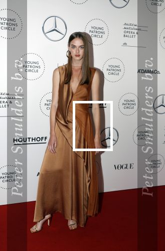 Amsterdam 1 juni 2018
Premiere Nationaal ballet in stopera. Emma Poilblanc