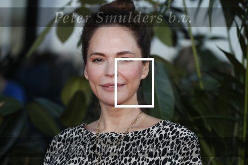 Amsterdam 5 juni 2018
Premiere Jurassic world in het amsterdam theater. Evelyn Struik