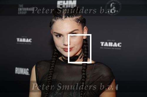 Amsterdam 24 mei 2018
FHM 500 uitreiking in de Adam Toren. Famke Louise