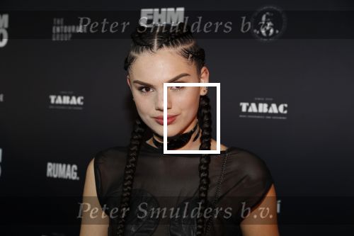 Amsterdam 24 mei 2018
FHM 500 uitreiking in de Adam Toren. Famke Louise