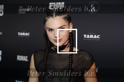 Amsterdam 24 mei 2018
FHM 500 uitreiking in de Adam Toren. Famke Louise