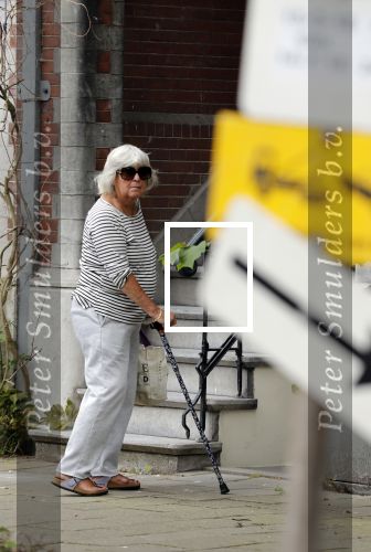 Amsterdam 24 mei 2018
Herma Krabbe met wandelstok.