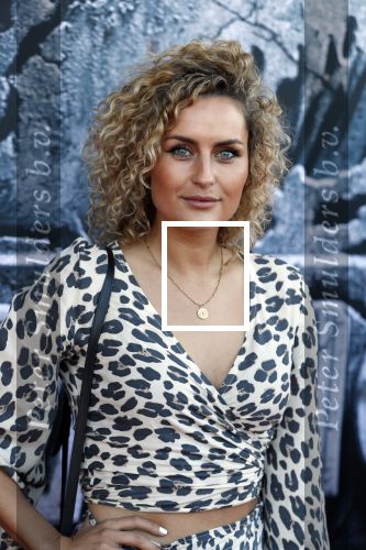 Amsterdam 5 juni 2018
Premiere Jurassic world in het amsterdam theater. iris Rulkens