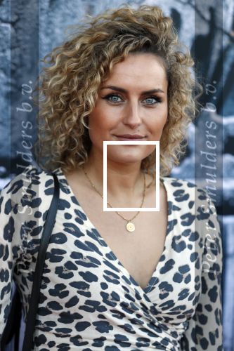 Amsterdam 5 juni 2018
Premiere Jurassic world in het amsterdam theater. iris Rulkens