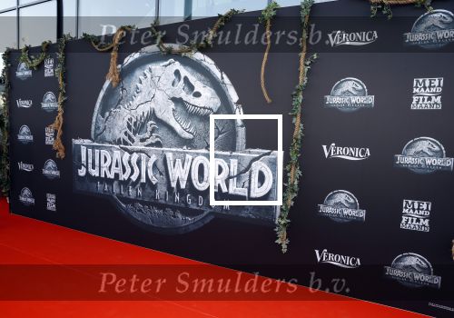 Amsterdam 5 juni 2018
Premiere Jurassic world in het amsterdam theater.