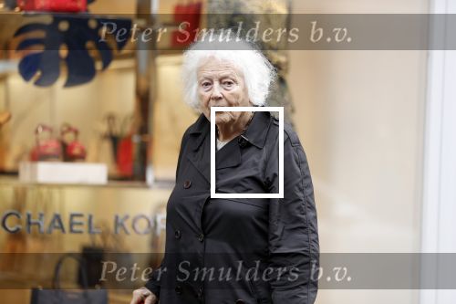 Amsterdam 22 mei 2018
Marjan Berk met bwandelstok op de pc hooftstraat.