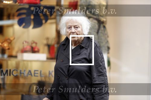 Amsterdam 22 mei 2018
Marjan Berk met bwandelstok op de pc hooftstraat.