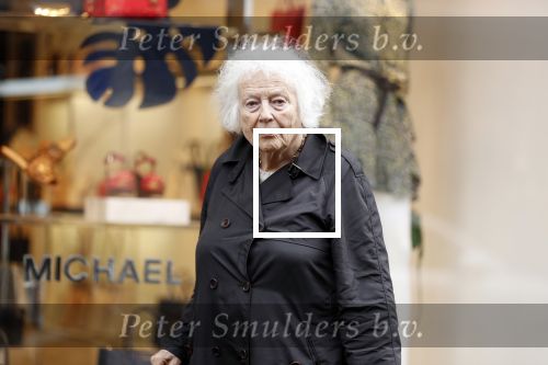 Amsterdam 22 mei 2018
Marjan Berk met bwandelstok op de pc hooftstraat.