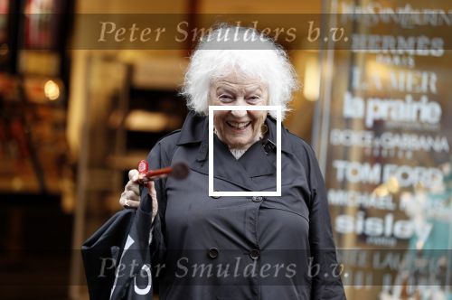 Amsterdam 22 mei 2018
Marjan Berk met bwandelstok op de pc hooftstraat.