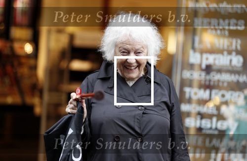 Amsterdam 22 mei 2018
Marjan Berk met bwandelstok op de pc hooftstraat.