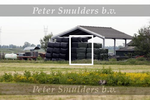 Wijdewormer 22 mei 2018
Marnix Knetemann isa een van de deelnemers aan boer zoekt vrouw.