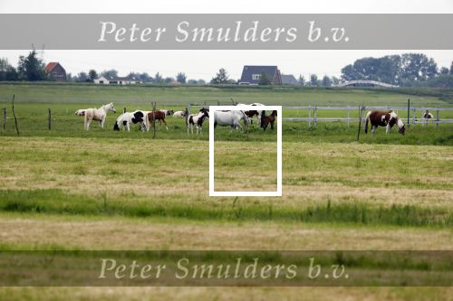 Wijdewormer 22 mei 2018
Marnix Knetemann isa een van de deelnemers aan boer zoekt vrouw.
