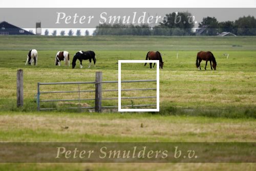Wijdewormer 22 mei 2018
Marnix Knetemann isa een van de deelnemers aan boer zoekt vrouw.