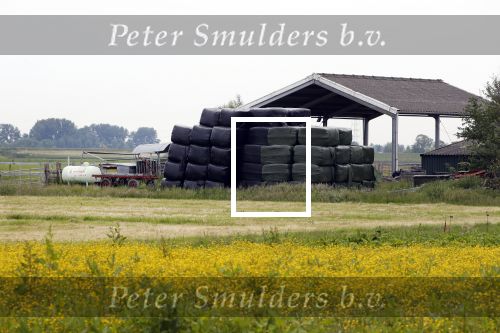 Wijdewormer 22 mei 2018
Marnix Knetemann isa een van de deelnemers aan boer zoekt vrouw.