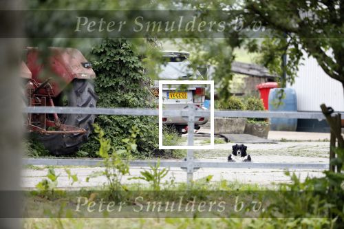 Wijdewormer 22 mei 2018
Marnix Knetemann isa een van de deelnemers aan boer zoekt vrouw.