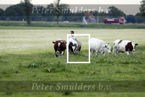 Wijdewormer 22 mei 2018
Marnix Knetemann isa een van de deelnemers aan boer zoekt vrouw.