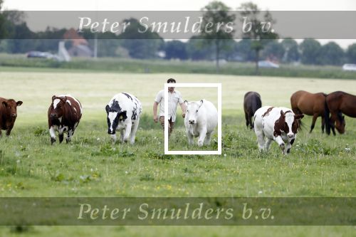 Wijdewormer 22 mei 2018
Marnix Knetemann isa een van de deelnemers aan boer zoekt vrouw.