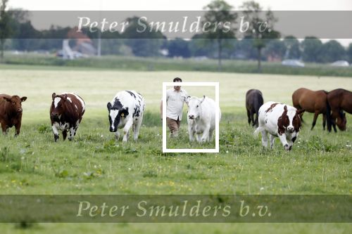 Wijdewormer 22 mei 2018
Marnix Knetemann isa een van de deelnemers aan boer zoekt vrouw.