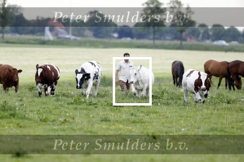 Wijdewormer 22 mei 2018
Marnix Knetemann isa een van de deelnemers aan boer zoekt vrouw.