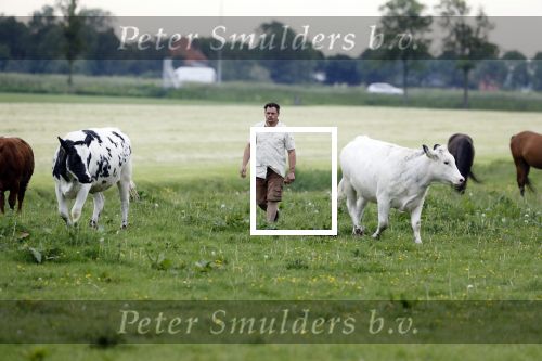Wijdewormer 22 mei 2018
Marnix Knetemann isa een van de deelnemers aan boer zoekt vrouw.