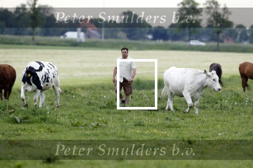 Wijdewormer 22 mei 2018
Marnix Knetemann isa een van de deelnemers aan boer zoekt vrouw.