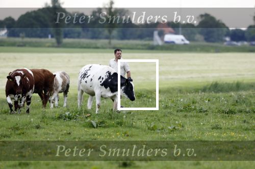 Wijdewormer 22 mei 2018
Marnix Knetemann isa een van de deelnemers aan boer zoekt vrouw.