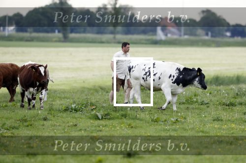 Wijdewormer 22 mei 2018
Marnix Knetemann isa een van de deelnemers aan boer zoekt vrouw.